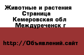  Животные и растения - Страница 2 . Кемеровская обл.,Междуреченск г.